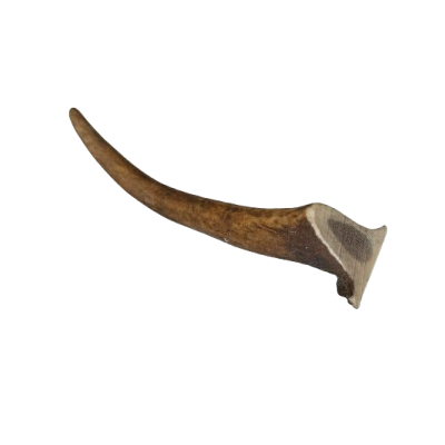Antler Small