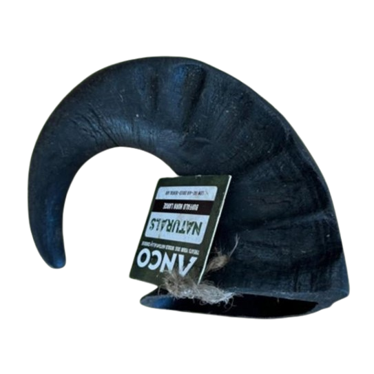 Buffalo Horn