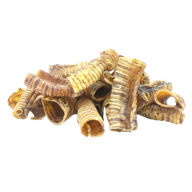 Buffalo Trachea