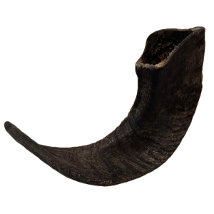 Lamb Horn