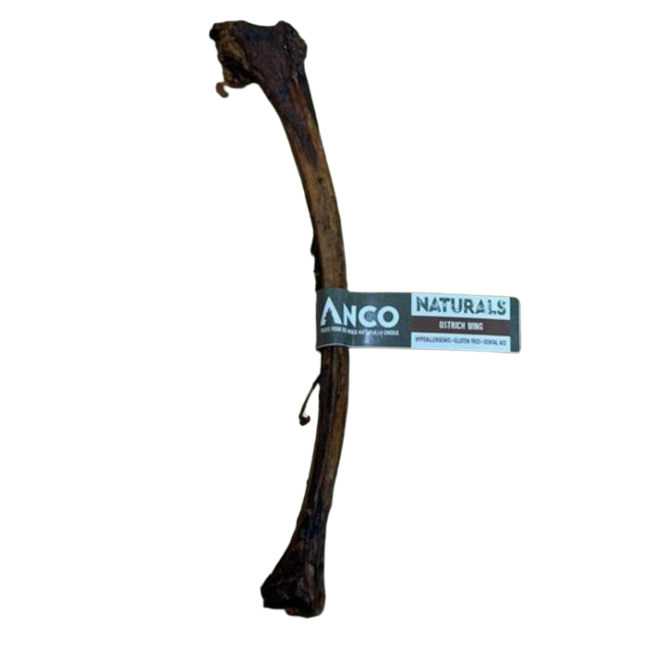 Ostrich Wing Bones