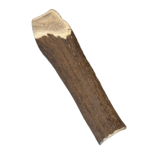 Antler (large)