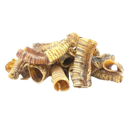 Buffalo Trachea