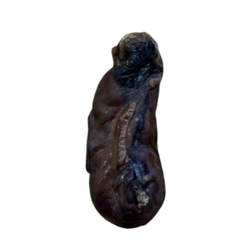 Beef Danglers