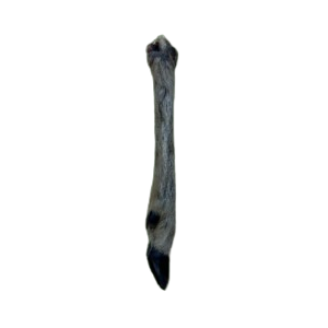 Natural Deer Leg