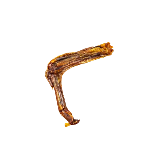 Duck Wings