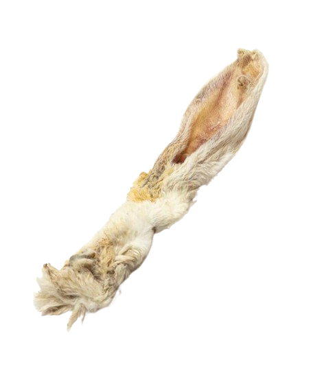 Hairy Rabbit Ears