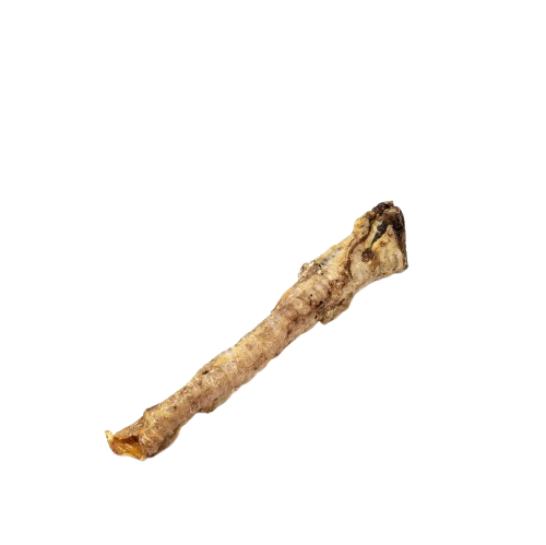 Lamb Trachea