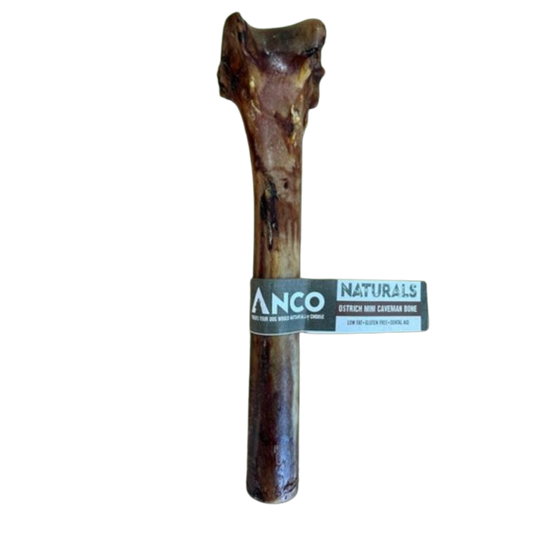 Ostrich Mini Caveman Bone