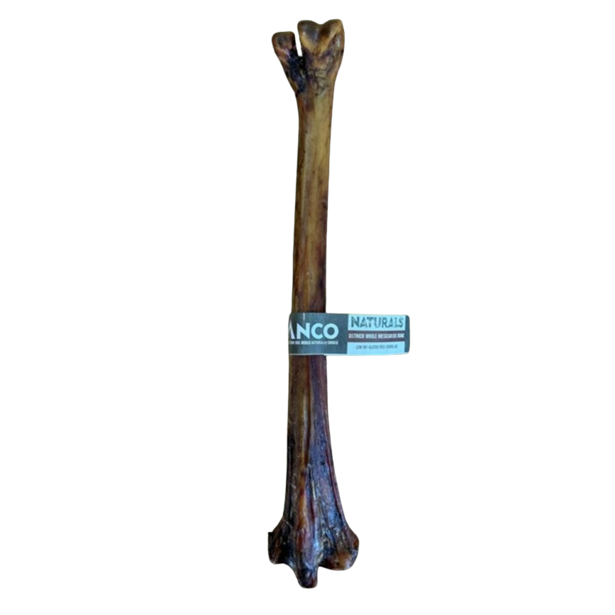 Ostrich Whole Metatarsus Bones