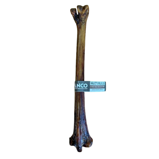 Ostrich Whole Metatarsus Bones