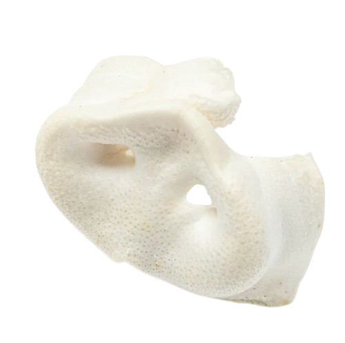 Puffed Pig Snouts