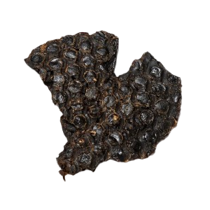 Rabbit Liver Taster Pack