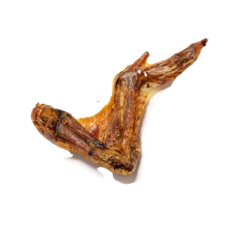 Turkey wings