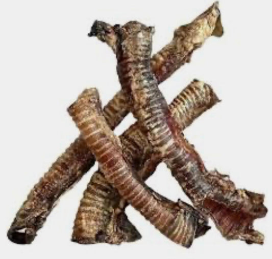 Whole Beef Trachea
